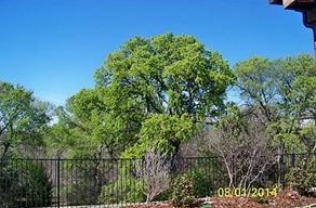 1017 Southfork Dr, Oak Point TX  75068-5962 exterior