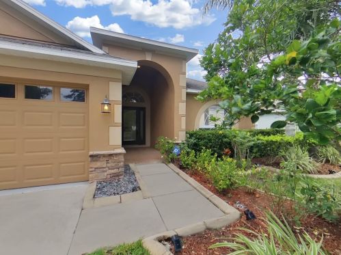 2955 Trinity Cottage Dr, Land O Lakes, FL 34638-8135
