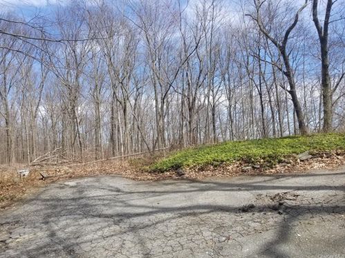 63 De Liso Ln, Mahopac, NY 10541-3523