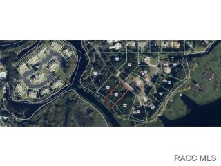 2100 Lake Spivey Pt, Inverness, FL 34450-5065