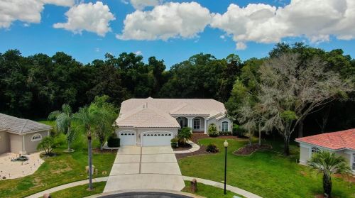 3874 Crescent Cove Pl, Tarpon Springs FL  34688-7708 exterior