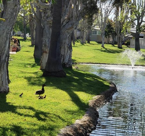 7302 Santa Barbara St, Carlsbad CA  92011-4637 exterior