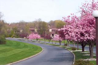 37 Hillside Ct, Clinton NJ  08809-1136 exterior