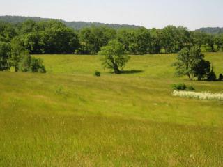 2700 Mitchellsburg Rd, Perryville, KY 40468