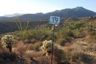 9124 Red Lawrence Dr, Scottsdale, AZ 85262-5049