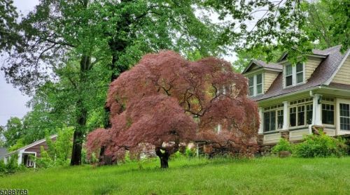67 Littleton Rd, Greystone Park, NJ 07950-2417