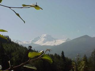 7491 Canyon View Dr, Glacier, WA