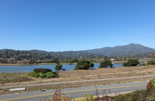 16 Eucalyptus Knoll St, Mill Valley CA  94941-2287 exterior