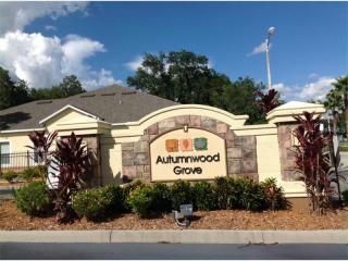 4114 Winding Vine Dr, Lakeland, FL 33812-2202