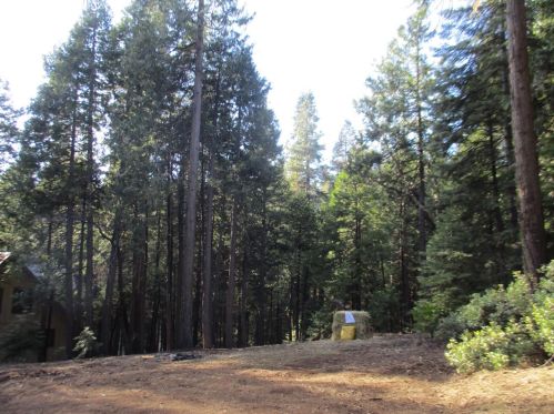 3891 Garnet Rd, Pacific House CA  95726-9517 exterior