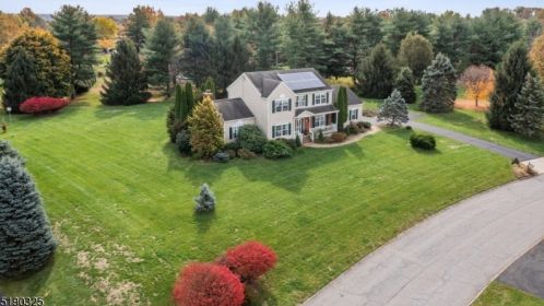 3 Pegasus Ct, East Amwell Township, NJ 08551-1915