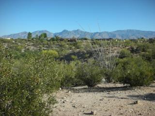 10602 Sky High Dr, Tucson, AZ 85730-5058