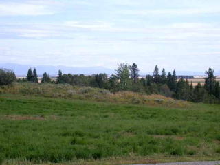 1673 Whisper Ridge Rd, Lamont, ID 83420-4707