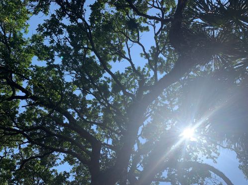 31 24th Ave, Isle Of Palms SC  29451-2373 exterior