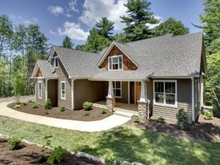 94 Sonnet Ln, Asheville, NC 28804-5507