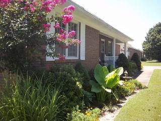1519 Patriot Ave, Paris, TN 38242-5019