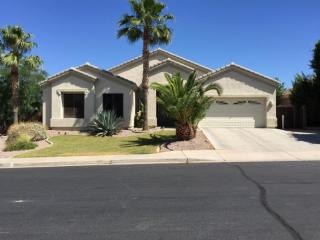 8634 Hillview St, Mesa, AZ 85207-4119