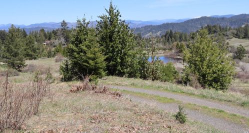 28901 Skyview Rd, Willits CA  95490-8420 exterior