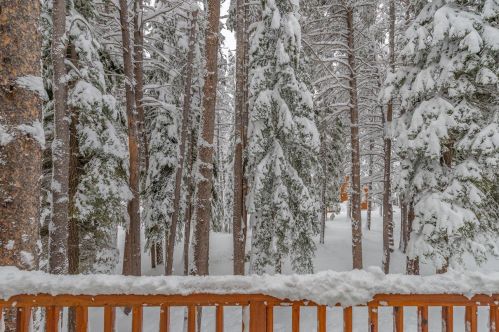 11720 Mougle Ln, Truckee CA  96161-6108 exterior