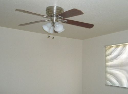 8228 30 Dr, Phoenix AZ 85009-5069 exterior