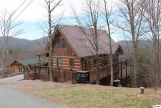 2541 Raccoon Hollow Way, Pigeon Forge, TN 37862-8179