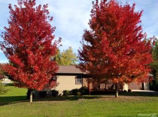 136 Louise St, Crossville, TN 38555-5487