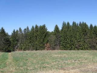12 Macintosh Ln, Sugarloaf, PA 18249-9500
