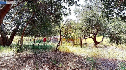 6901 Johnston Rd, Pleasanton CA  94588-9460 exterior