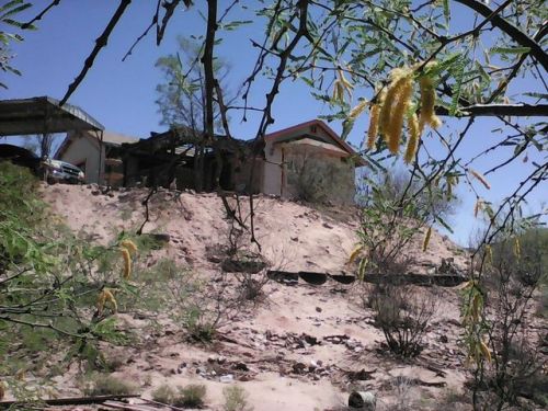 279 Brandy Ln, Mescal, AZ 85602-8249