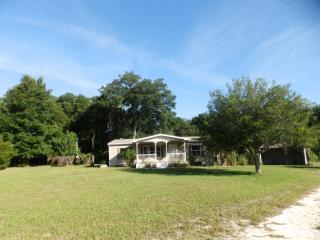33101 Headstone St, Ridge Manor Estates, FL 33597-9197
