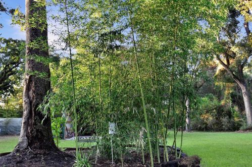 10487 Darby Loop, Conroe TX 77385-7407 exterior