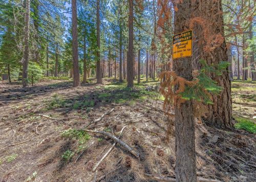 1348 Ottawa Dr, South Lake Tahoe CA  96150-4820 exterior