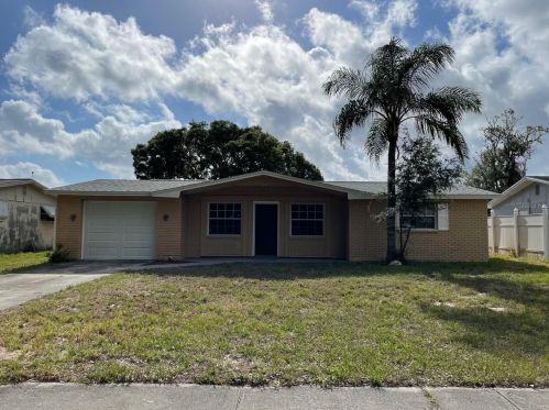 2912 Puma Dr, Tarpon Springs FL  34690-2913 exterior