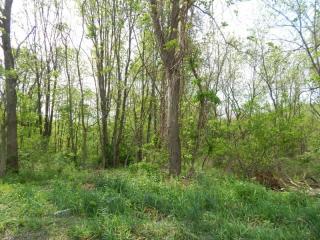 6 Slayton Rd, Glenwood, NJ 07418-1021