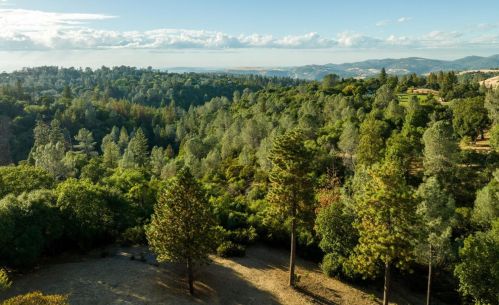 10644 Live Oak Ln, Lake Wildwood, CA 95946-9391