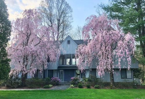 6 Ponds Ln, Purchase, NY 10577-1711