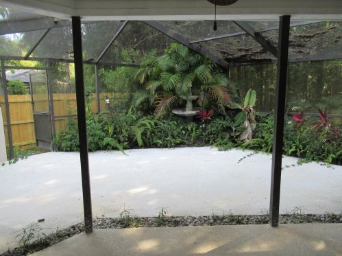 3154 Glenridge Dr, Palm Harbor FL  34685-1723 exterior