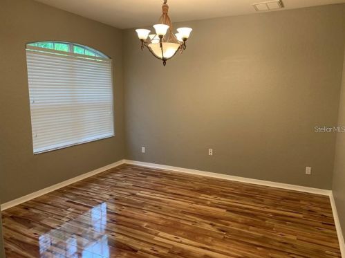 10528 Deerberry Dr, Land O Lakes FL  34638-6947 exterior