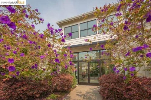 123 Lakeshore Ct, Richmond CA  94804-7422 exterior