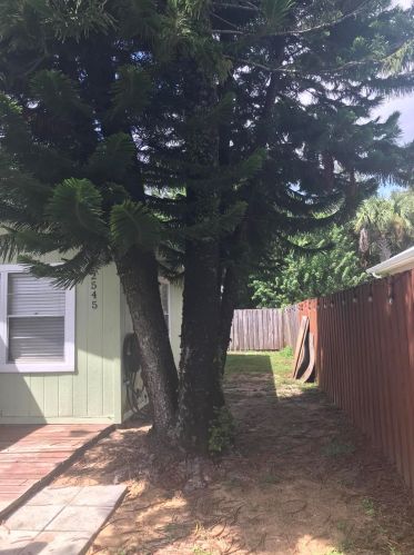 2545 87th Ave, Vero Beach, FL 32966-5038