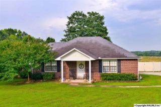 359 Henderson Rd, Decatur, AL 35603-6737
