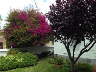 9 Lilac St, Monterey, CA 93940-5413
