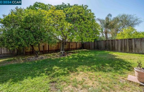 2800 Westgate Ave, Concord CA  94520-5519 exterior