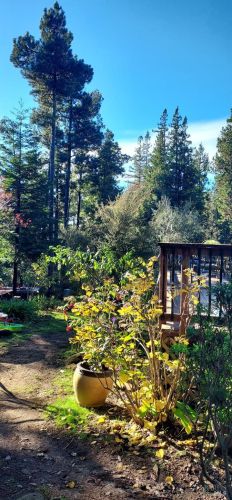 43400 Iversen Rd, The Sea Ranch CA  95445-7582 exterior