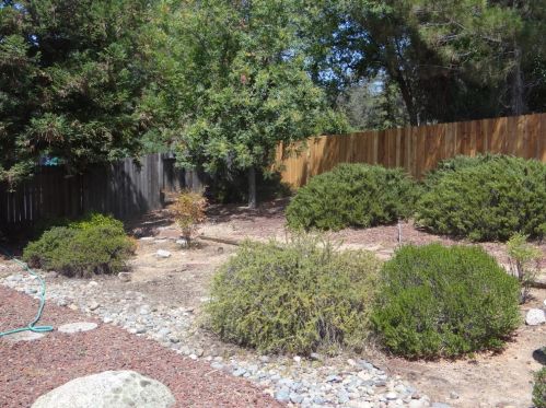 5605 Arcadia Ave, Loomis CA  95650-8739 exterior