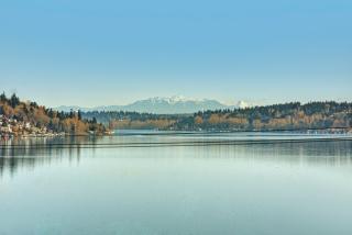 10646 Dixon Dr, Seattle WA  98178-2717 exterior