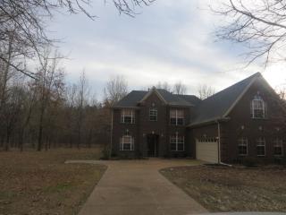 12521 Pinckley Rd, Lakeland, TN 38002-8497