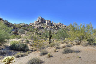 25020 114th St, Scottsdale, AZ 85255-8295