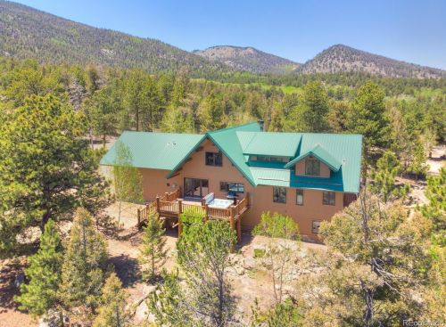 206 Badger Cir, Tarryall, CO 80827-9600