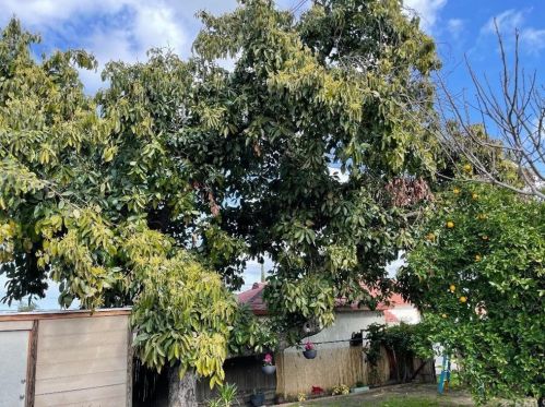 8031 Passons Blvd, Pico Rivera CA  90660-4723 exterior